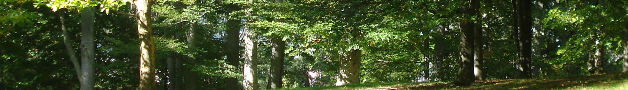 ヨーロッパ写真紀行2024、イタリア、フランスでのアドバイス